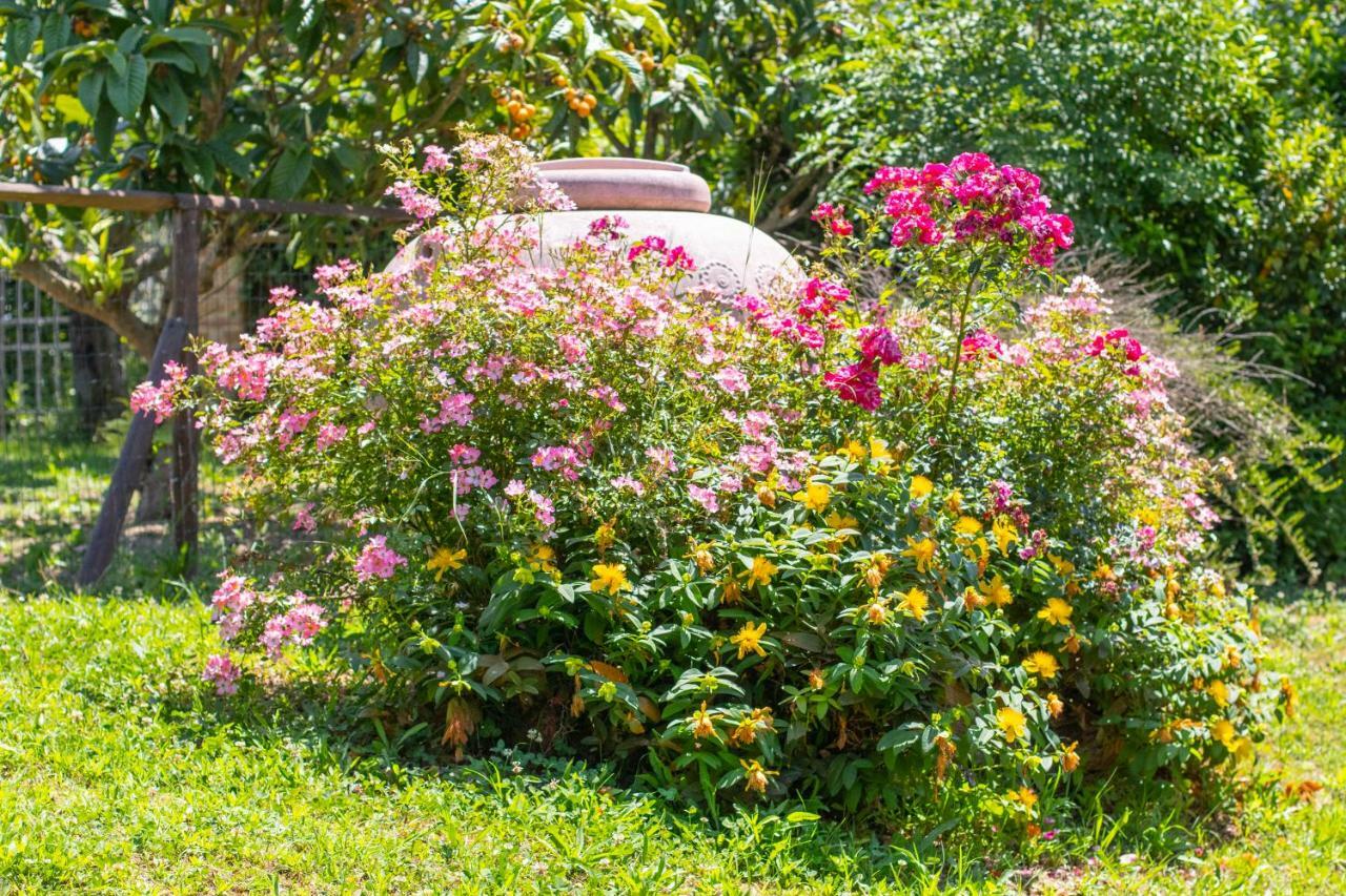 Agriturismo Filettro โวลแตร์รา ภายนอก รูปภาพ