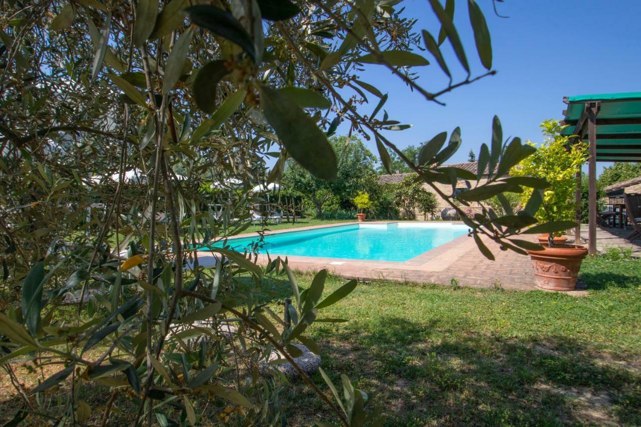 Agriturismo Filettro โวลแตร์รา ภายนอก รูปภาพ