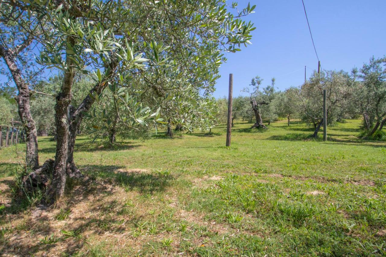 Agriturismo Filettro โวลแตร์รา ภายนอก รูปภาพ