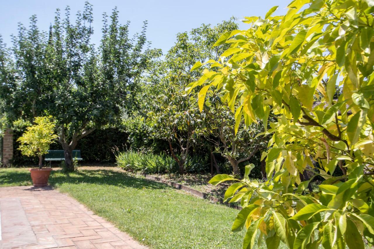 Agriturismo Filettro โวลแตร์รา ภายนอก รูปภาพ