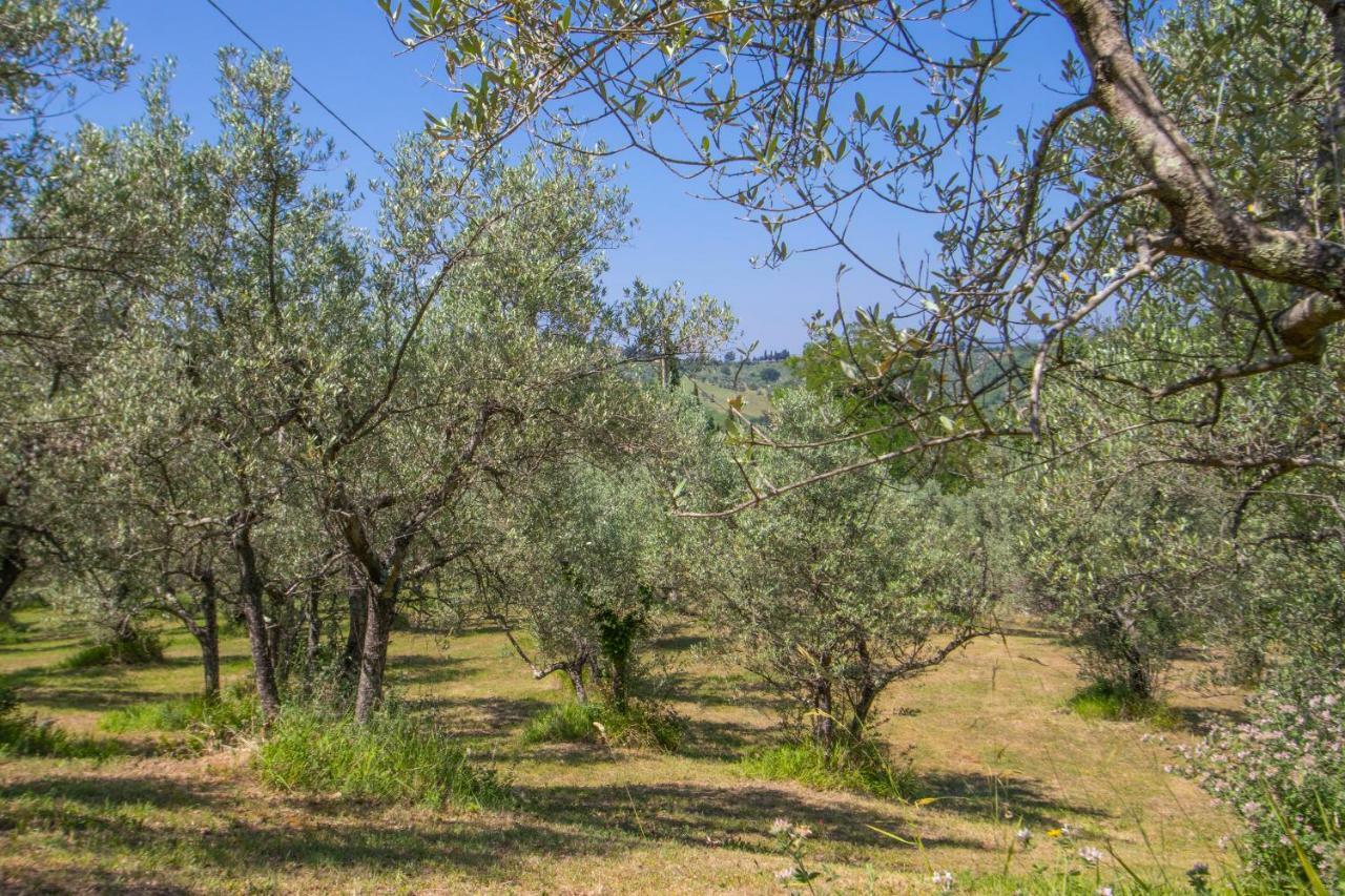 Agriturismo Filettro โวลแตร์รา ภายนอก รูปภาพ