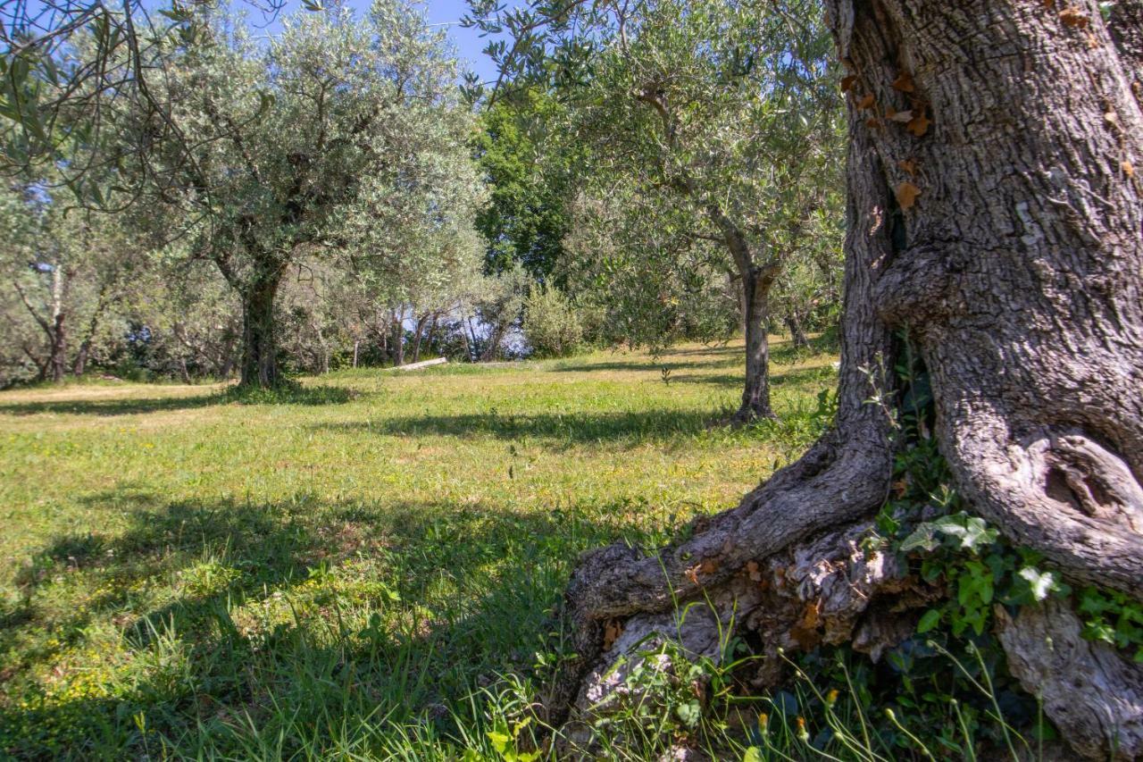 Agriturismo Filettro โวลแตร์รา ภายนอก รูปภาพ